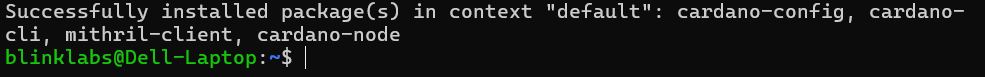 cardano-up-install-cardano-node-success-message